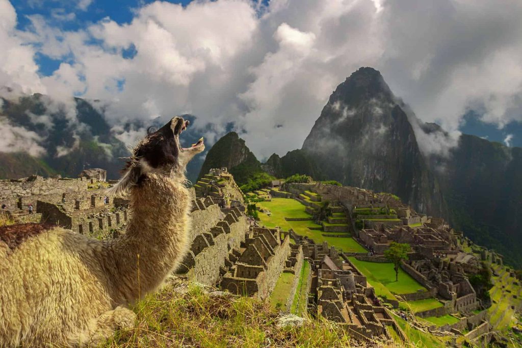 The Ultimate Guide to the Wonders of the World: Ancient, Natural, and New